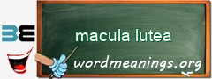 WordMeaning blackboard for macula lutea